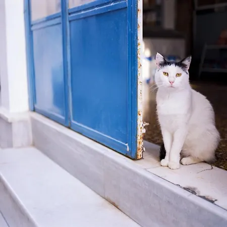 Βίλα Phenomenal Mykonos Julietta 5 Bedrooms Private Jacuzzi With Stunning Sea Views Psarou *